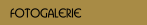 Fotogalerie